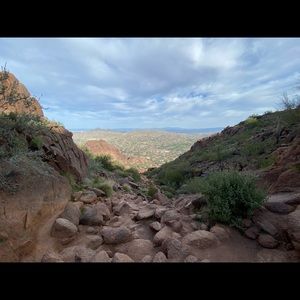 Meet your Posher, Peter